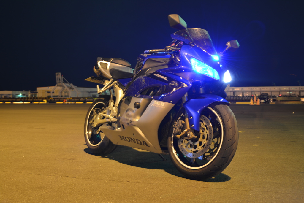 青い馬は美しい2