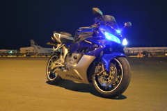 青い馬は美しい2
