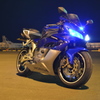 青い馬は美しい2