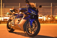 青い馬は美しい3