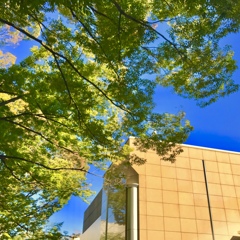 上野の森美術館