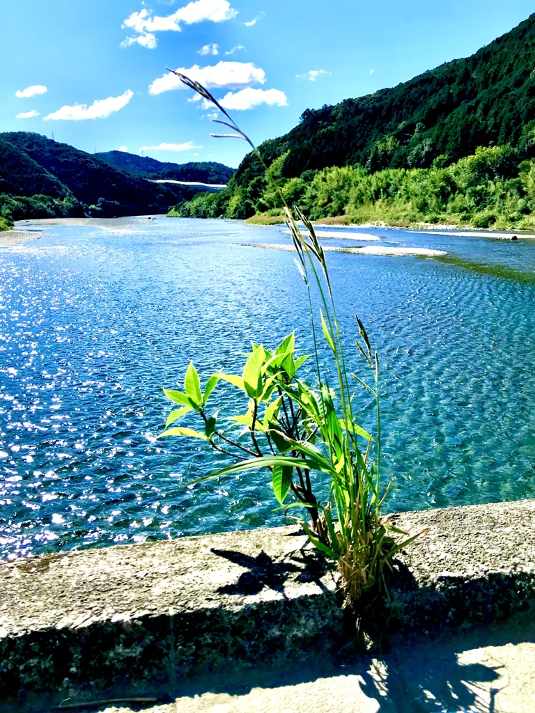 仁淀川に架かる名超屋(なごや)沈下橋