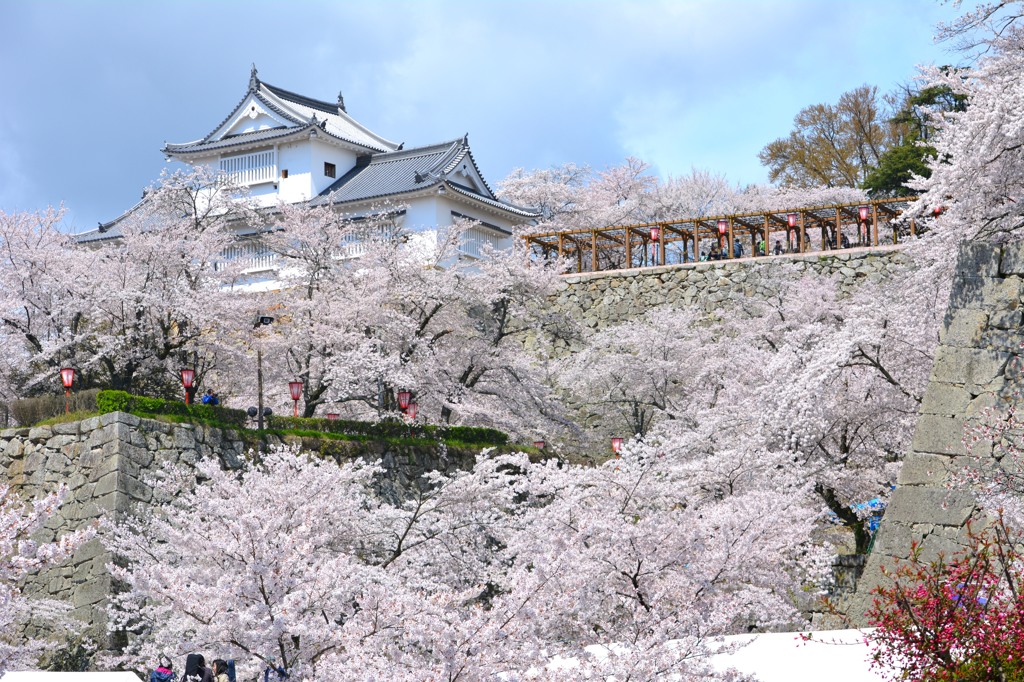 鶴山公園