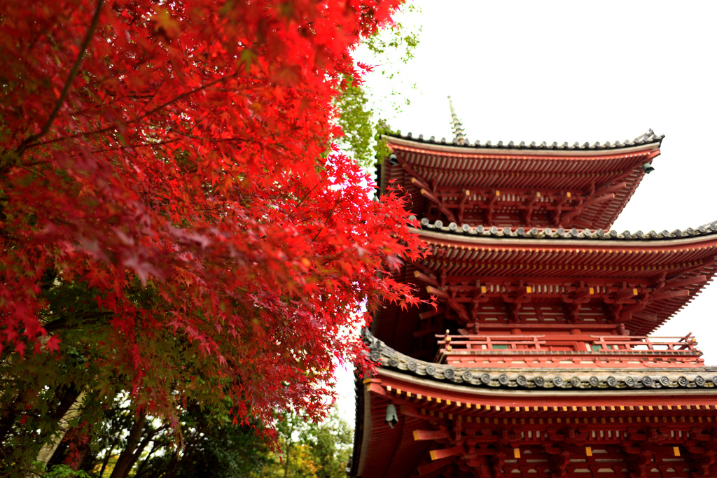 宝福寺３