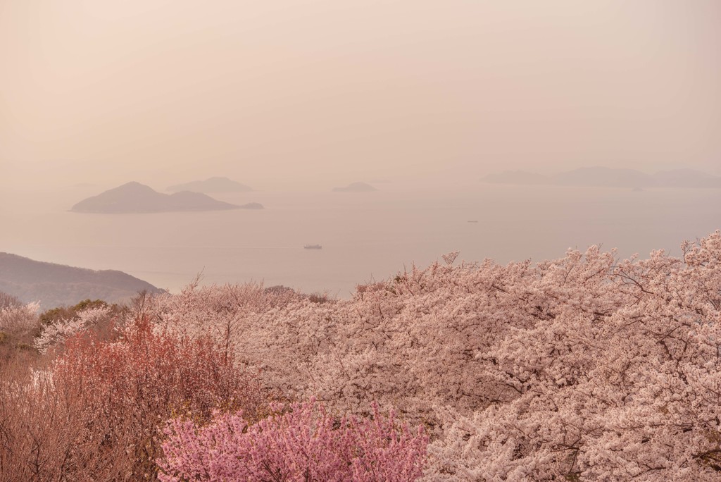 夕日に染まる紫雲出山