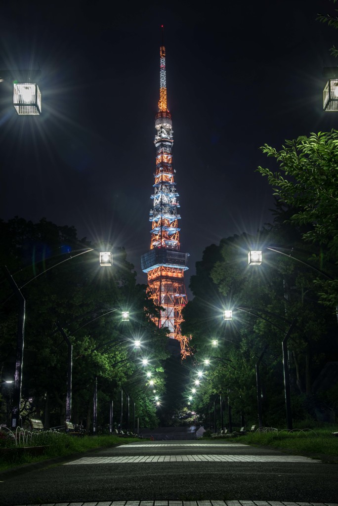 工事中？東京タワー