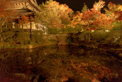 紅葉～池の映り込み
