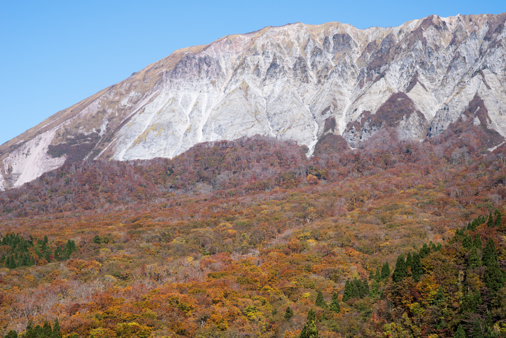 南壁の紅