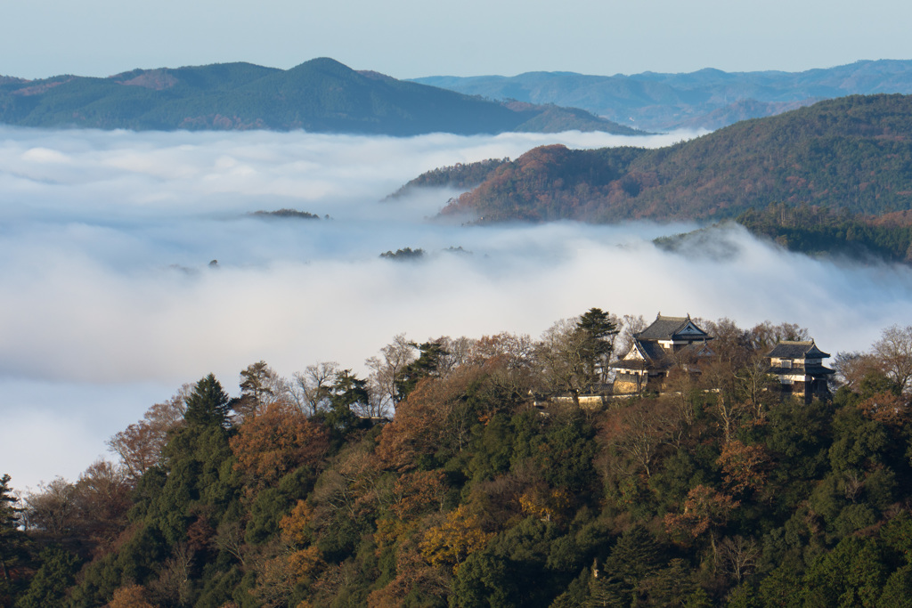 天空の松山城