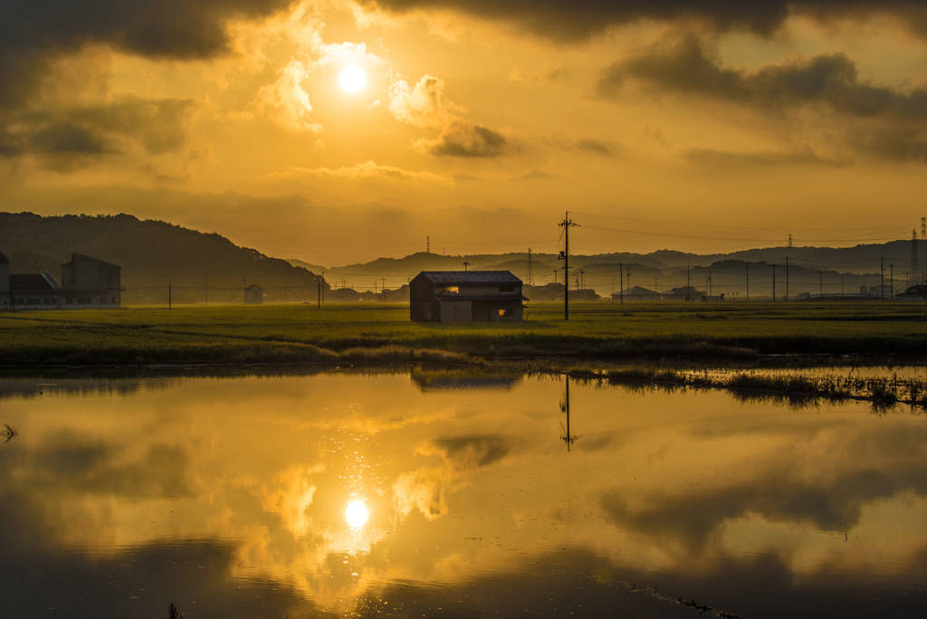 だるま朝日撮れずの帰り道