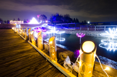 霞ヶ浦総合公園イルミネーション