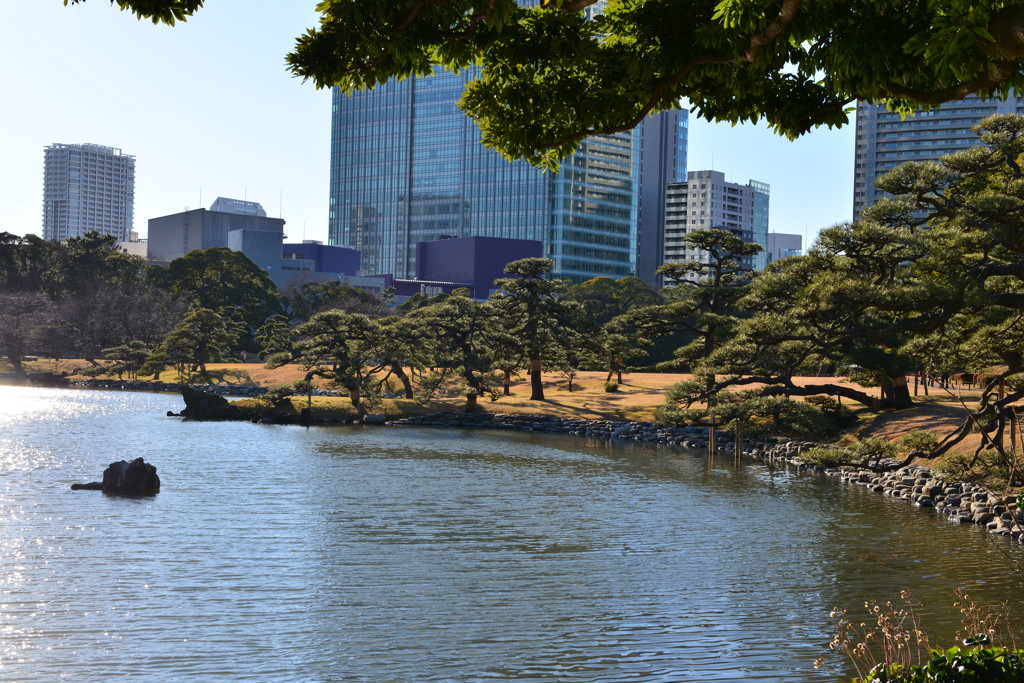 浜離宮恩賜公園