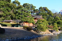 浜離宮恩賜公園
