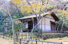 横浜三渓園にて