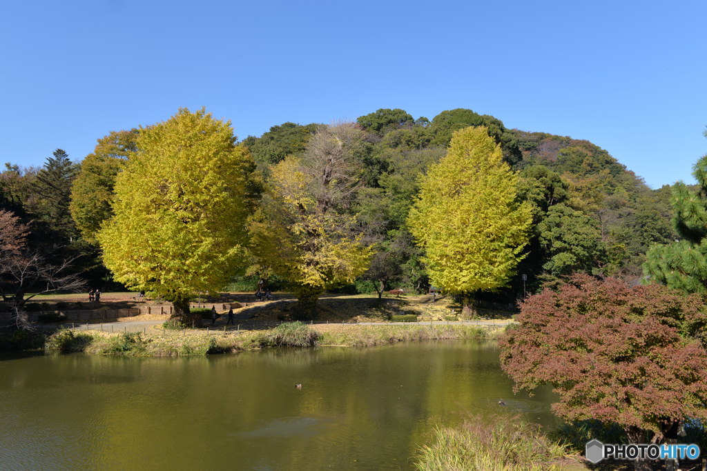 称名寺まわり③
