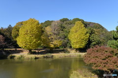 称名寺まわり③