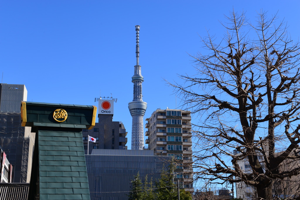東京スカイツリー