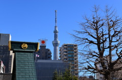 東京スカイツリー
