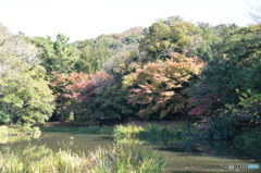 称名寺まわり①