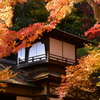 横浜三渓園にて