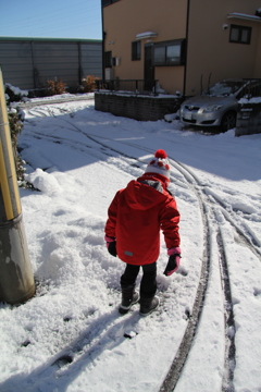 雪の朝