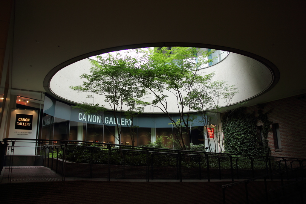 CANON GALLERY UMEDA