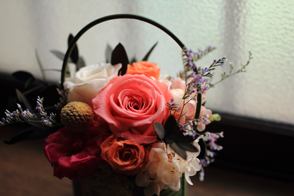 preserved flowers