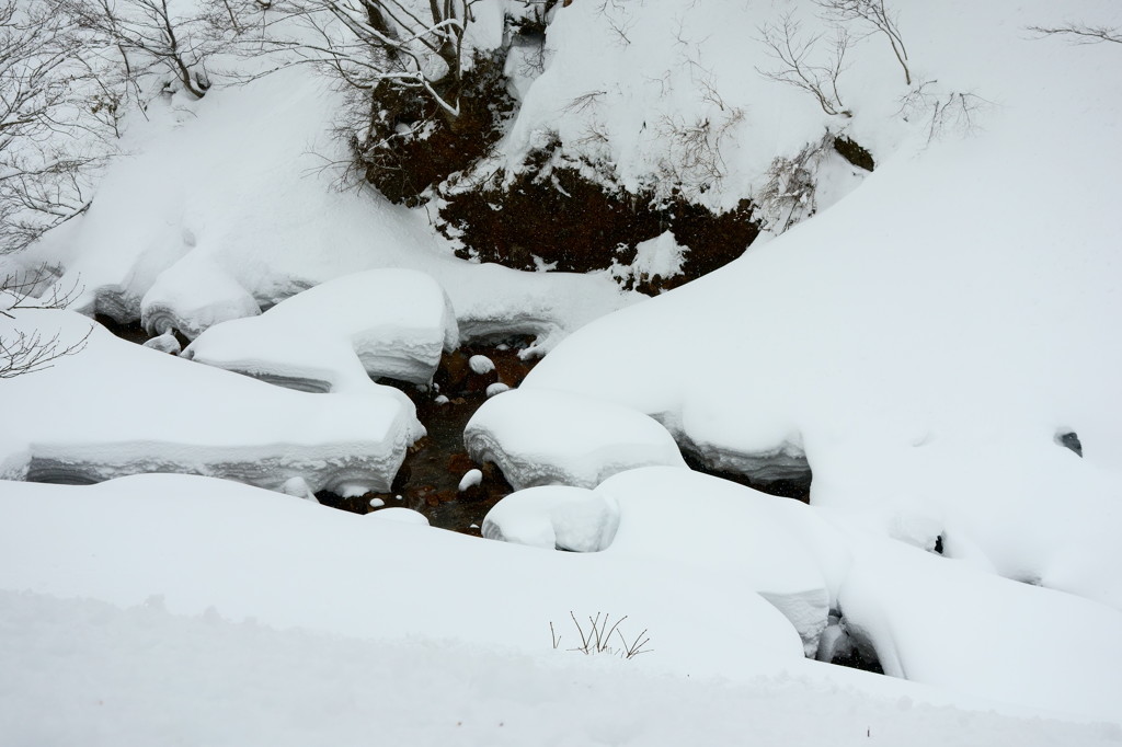 雪の庭園