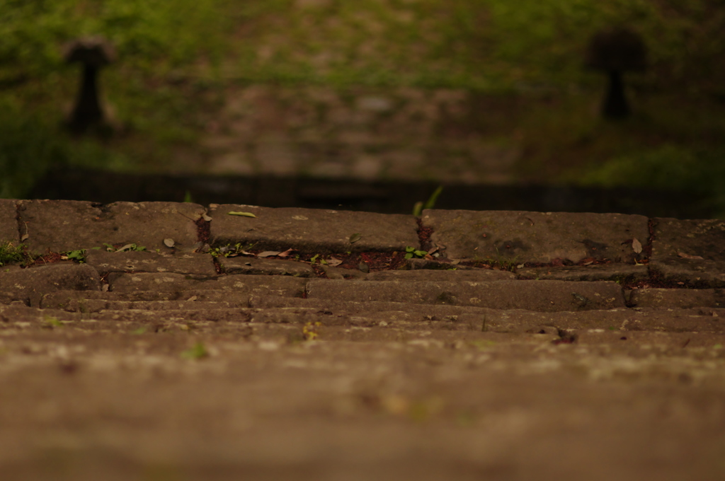 仙台　亀岡八幡宮をOLD　LENSでぷらり