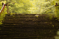 仙台　亀岡八幡宮をOLD　LENSでぷらり