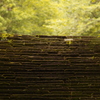 仙台　亀岡八幡宮をOLD　LENSでぷらり