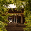 仙台　亀岡八幡宮をOLD　LENSでぷらり