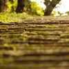 仙台　亀岡八幡宮をOLD　LENSでぷらり