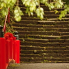 仙台　亀岡八幡宮をOLD　LENSでぷらり