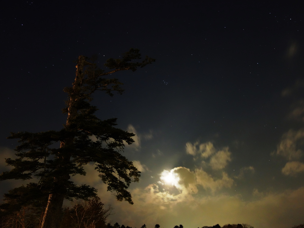 仙台夜月