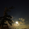 仙台夜月