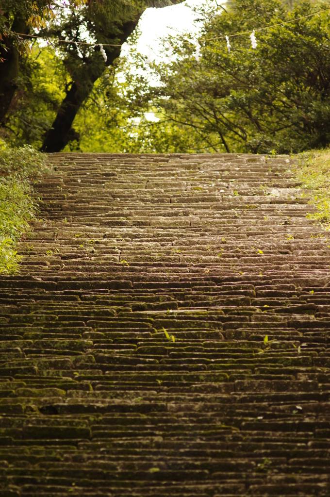 仙台　亀岡八幡宮をOLD　LENSでぷらり