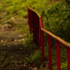 仙台　亀岡八幡宮をOLD　LENSでぷらり