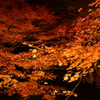 紅葉　01