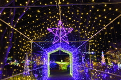ＳＴＡＲ