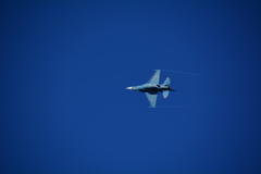 F2だったような②