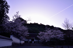 夜明け前