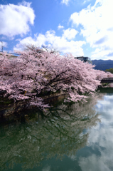 水面に