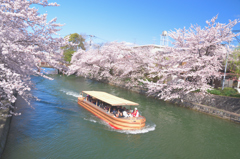 夢を乗せて