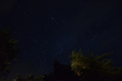 ひるがの高原の星空３