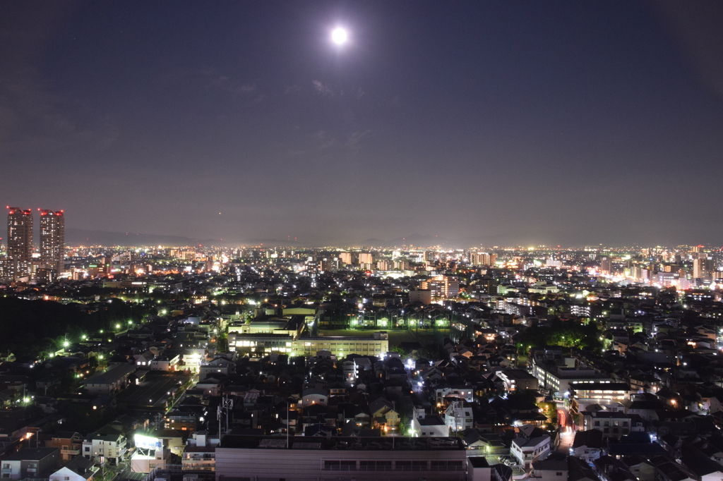 堺市