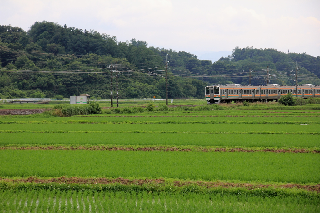 横川発高崎行き