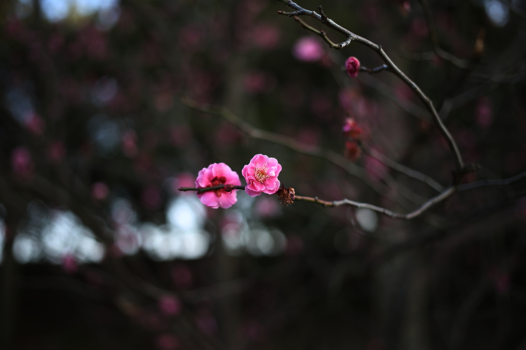 背中あわせ