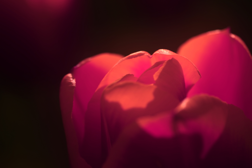 sacred