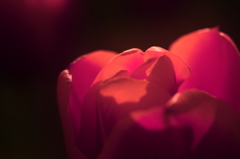 sacred